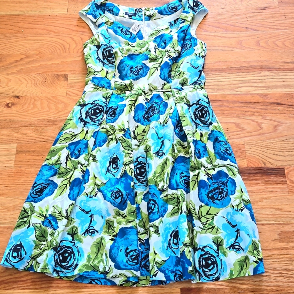 Brand New Botanical Turquoise and Green Silk Dress Size 8P